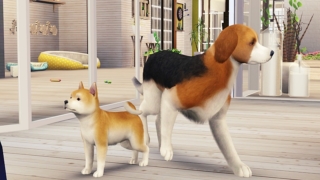 Thumbnail of post image 009