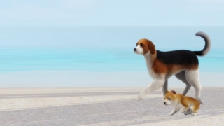 Thumbnail of post image 065